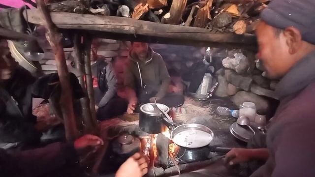 Chaamal Saapati || Yarsagumba Life In The Mountains, Cordyceps hunting, Nepal @rajgurungmanang8107 смотреть онлайн