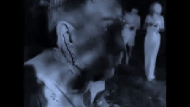 Maybe it's a tiger - 2/11 Macedonia (unofficial music video) смотреть онлайн