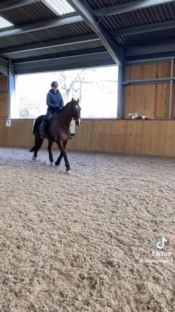 Riding With out a bridle for the first time! 🐴🤣🐎 смотреть онлайн