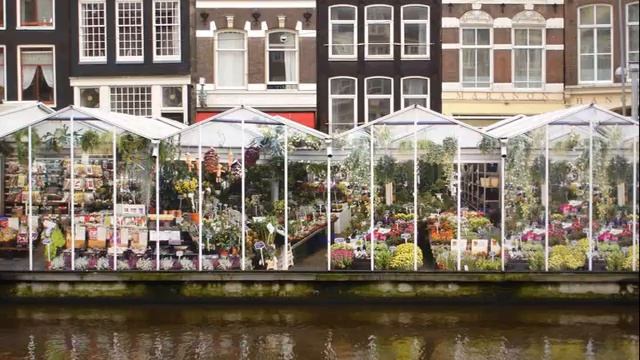 Котовасия . Оршуляк Андрей смотреть онлайн