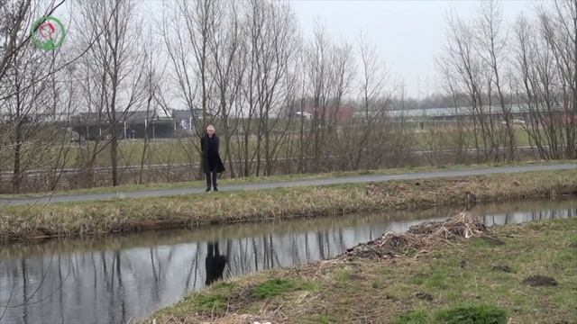 2018 05 Molen Stan Lansingeland RTV смотреть онлайн