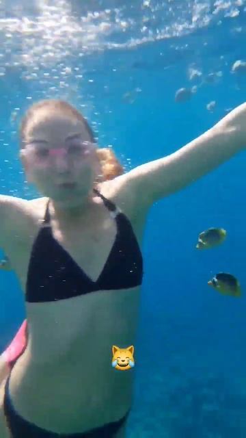 Снорклинг смотреть онлайн