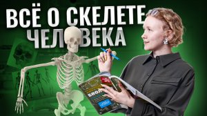 СКЕЛЕТ ЧЕЛОВЕКА для ОГЭ по Биологии | Умскул