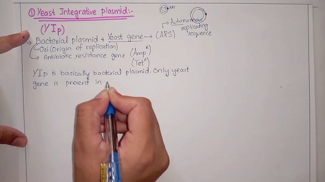 Vectors For Cloning Based On Yeast