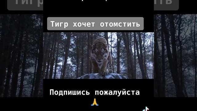 Жаждущий Тигр смотреть онлайн