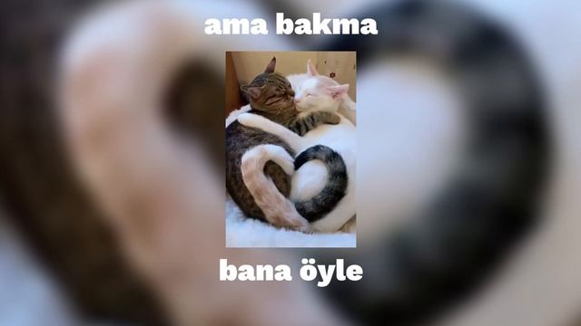 ama bana bakma öyle - Vagon (speed up) смотреть онлайн