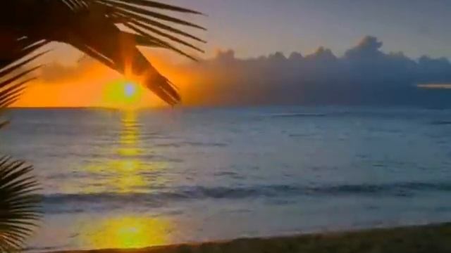 Te Voglio Bene Assai