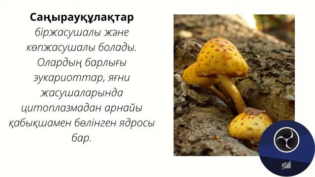 ТІРІ ОРГАНИЗМДЕРДІҢ ПАТШАЛЫҚТАРЫНА ЖАЛПЫ СИПАТТАМА смотреть онлайн