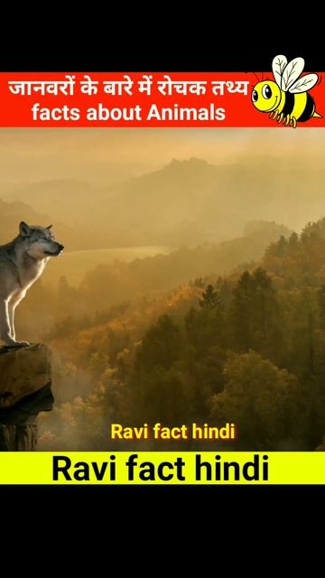 #factsinhindi Mind Blowing Facts In Hindi 🤯🧠 Amazing Facts | Human Psychology | Top 5 #factvideo