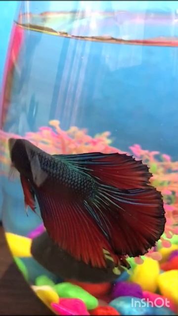 27 February 2023 смотреть онлайн