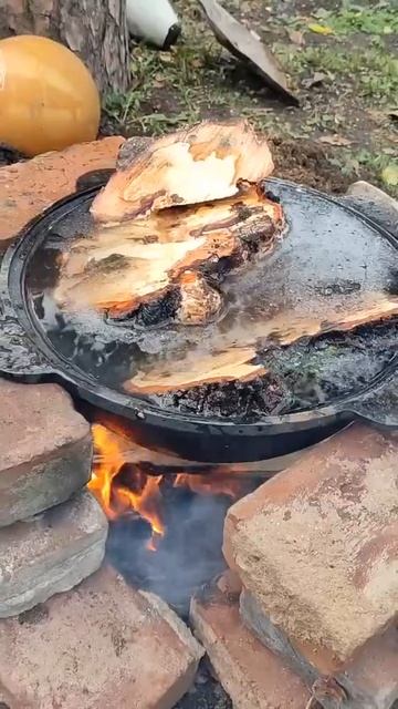 Варка древесины капа или сувеля перед сушкой