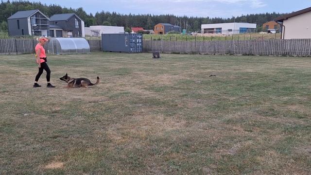 3С 3М Обучение отодвигаться назад из "лежать"_3 смотреть онлайн