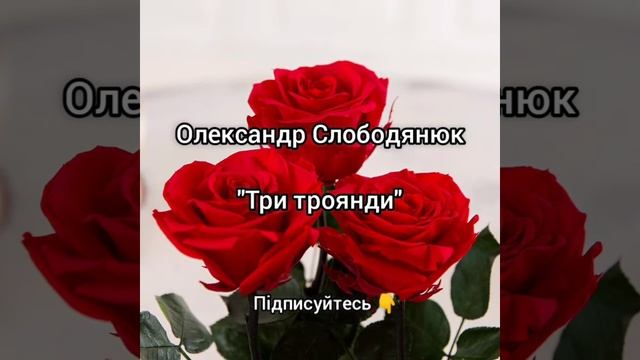 Олександр Слободянюк 