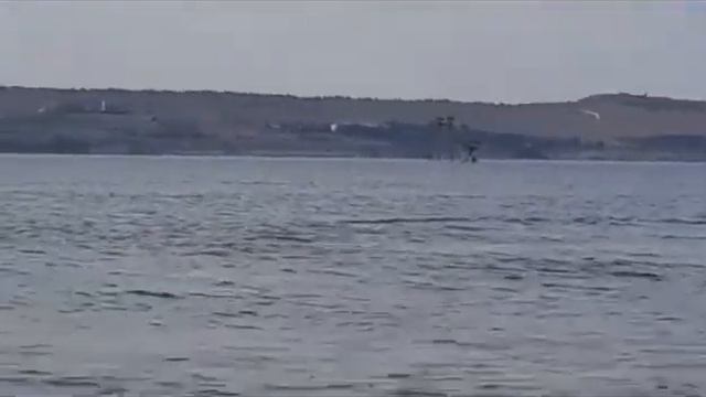 Дельфины у пансионата "Сказка" смотреть онлайн
