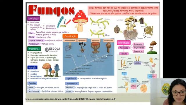 2EM - BIOLOGIA - REVISÃO