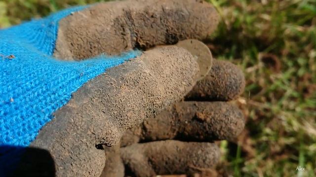 ✔️Unexpected findings! В лес за грибами) Или не ожиданные находки! Находки в Германии! смотреть онлайн