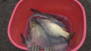 Рыбалка во Вьетнаме