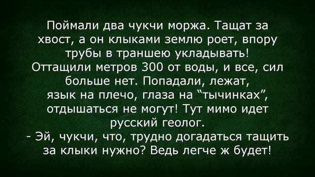 Два Чукчи Поймали Большого Моржа! Сборник Изумрудных Анекдотов №51 смотреть онлайн