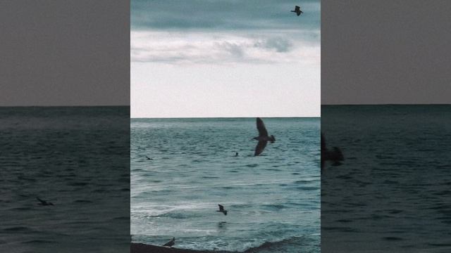 Ислам Итляшев Кобра remix slowed смотреть онлайн