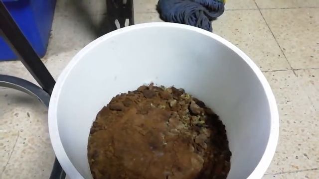 Cultivo casual de trichoderma смотреть онлайн