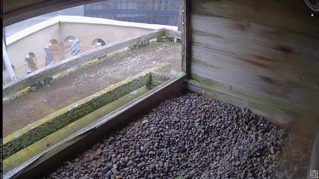 Camera 6 - 07/11/24 смотреть онлайн