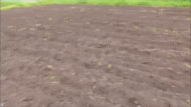 Три пятака разных веков