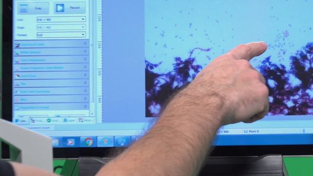 Microscopy of prepare slides: Amoeba and Penicillium смотреть онлайн