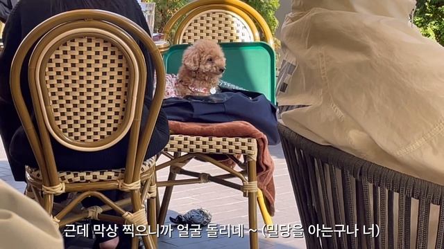 Sub)Seoul Vlog | 성수동 브이로그 | 고든램지버거 후기 | 언박싱 (어그부츠, 리쥬란, 이솝) | 러브인서울 위플래쉬 |글램핑, 성수동 맛집 브런치, 퇴근 후 치맥