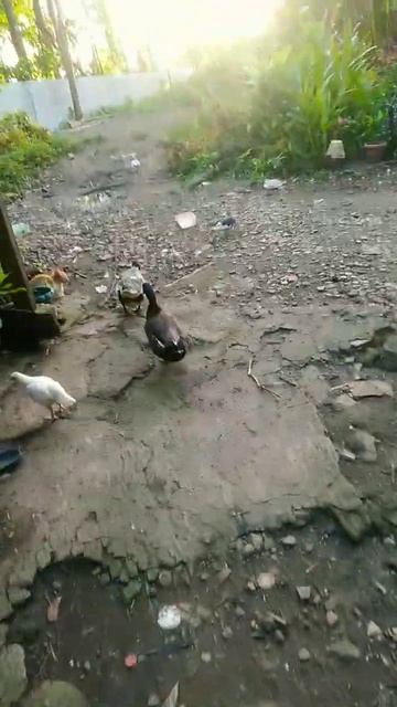 16 December 2022 смотреть онлайн