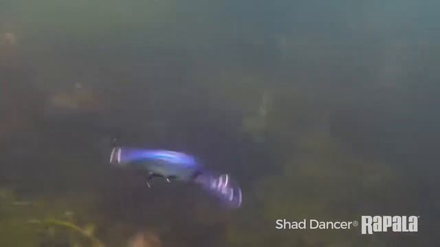 Shad Dancer【ラパラ・Rapala】 смотреть онлайн