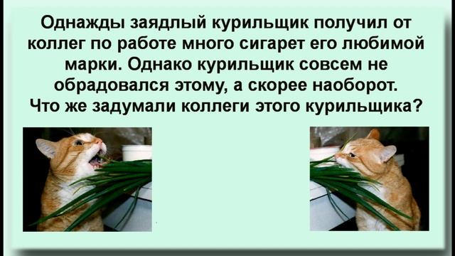 Вредная привычка смотреть онлайн