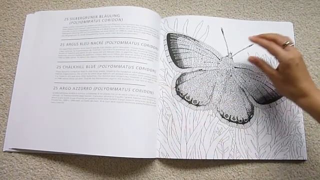 Treasured Alps Threatened Alps by Claire Scully | Colouring Book Flip Through смотреть онлайн