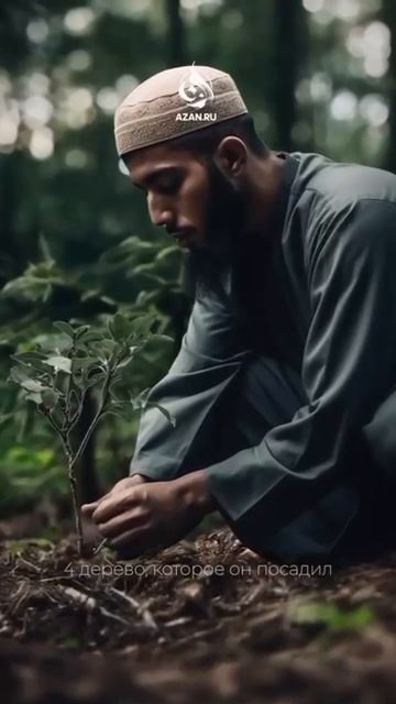 Садака Аль Джария смотреть онлайн