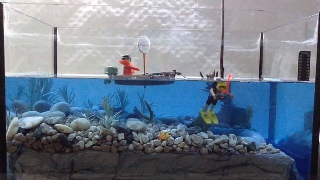 Narval os desea feliz navidad y próspero 2018 a todos смотреть онлайн