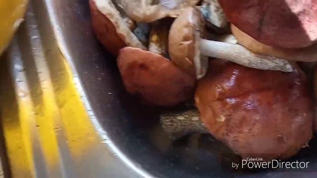 Вот так мы и едем .результат похода в лес . смотреть онлайн