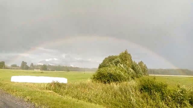 Веселка смотреть онлайн