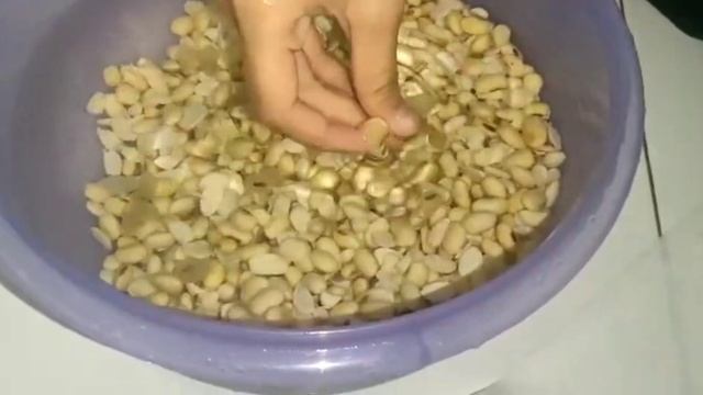 Bioteknologi Konvensional Fermentasi Tempe - Tugas Biologi смотреть онлайн