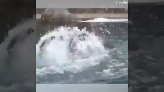 Маленькие слоники смотреть онлайн