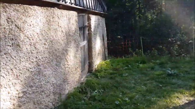 Что или кого можно найти в Альпах! смотреть онлайн