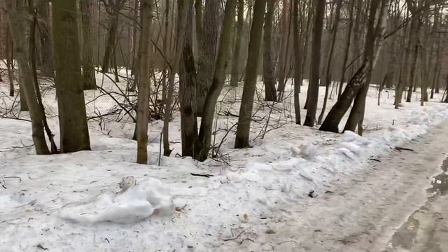 В парке смотреть онлайн