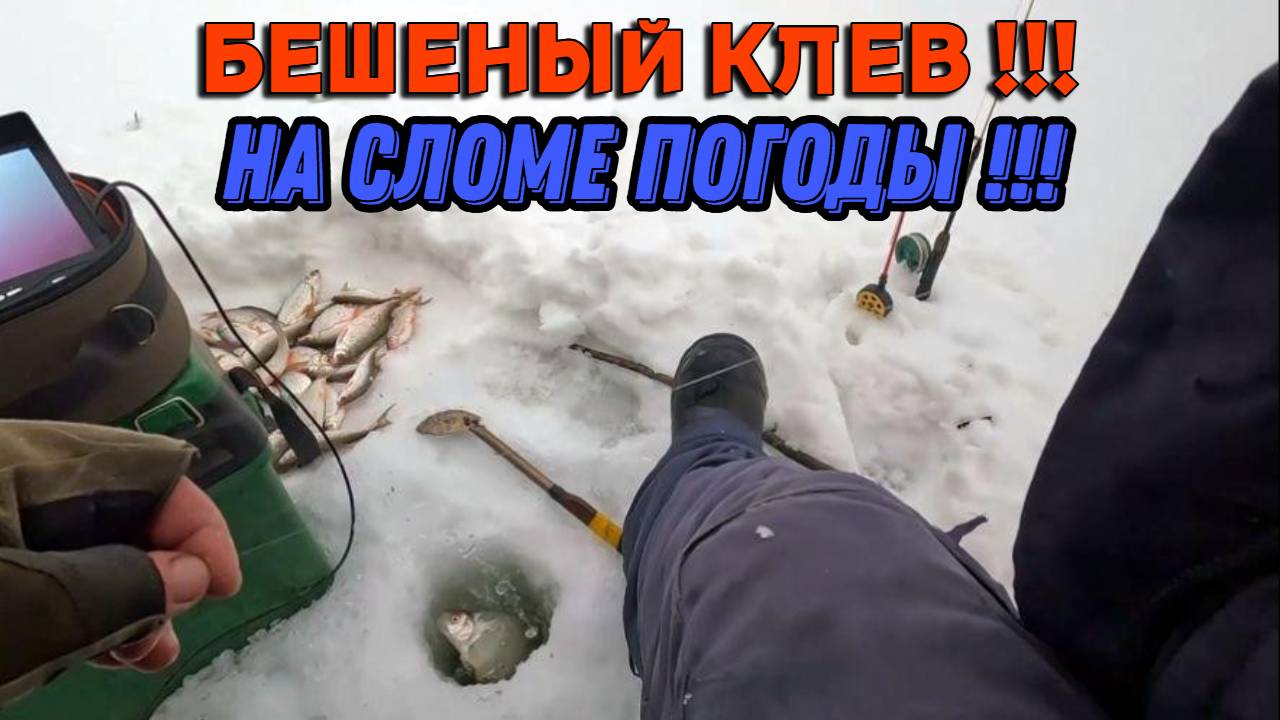 БЕШЕНЫЙ КЛЕВ НА СЛОМЕ ПОГОДЫ ! Рыбалка на Оби в протоке 31 января 2025г. смотреть онлайн