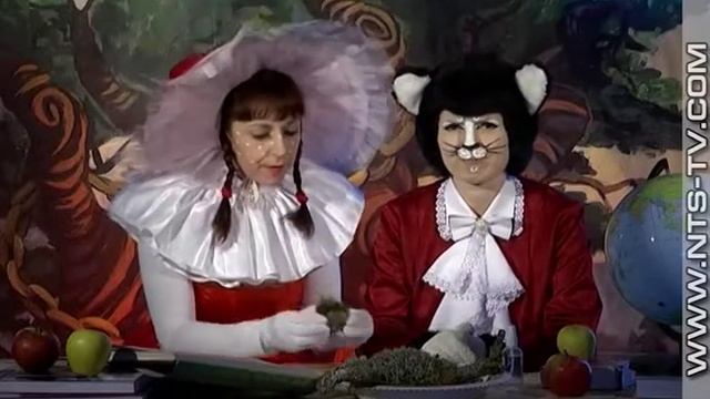 «Лукоморье». Лишайники смотреть онлайн