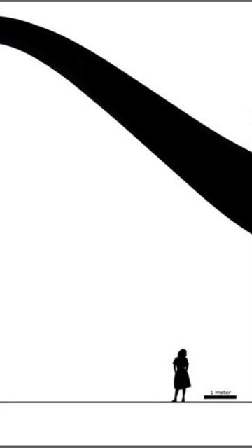 Argentinosaurus: Fossil Friday #shorts смотреть онлайн