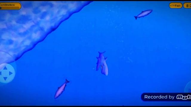 Акула съела всю ЗЕМЛЮ... смотреть онлайн