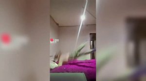 ::Видео из лайка по теме квадробика~🎧munyA╺⃝⃤