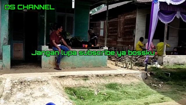 SAI HORAS MA HO TU SI BORU LOMO || CIPT. HENDRO SINAMBELA || LIVE AGUSTINA SUMATUPANG смотреть онлайн