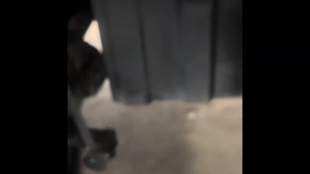 2013 Hyundai Elantra con ruido en la suspension problema com las flechas desgaste en el fresado смотреть онлайн