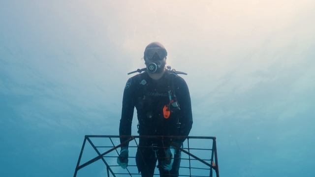 Coral restoration around Fregate Island is scaling up - Blancpain Ocean Commitment смотреть онлайн