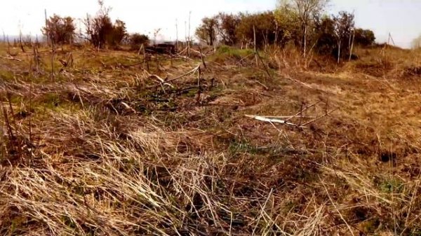 Заброшенная свинотоварная ферма СССР на просторах Прикамья