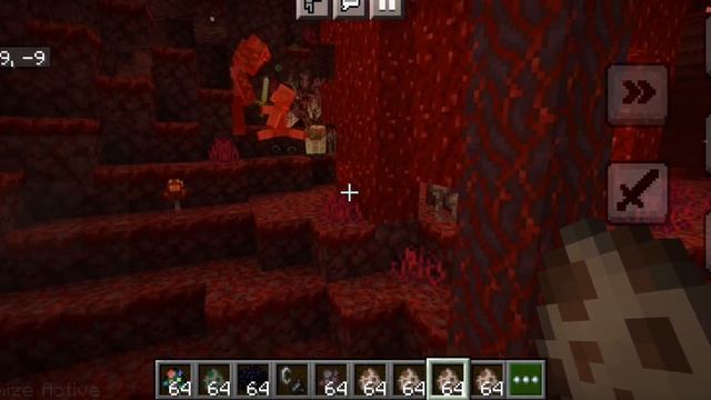 Cordyceps Addon, Nether Infected :0 смотреть онлайн